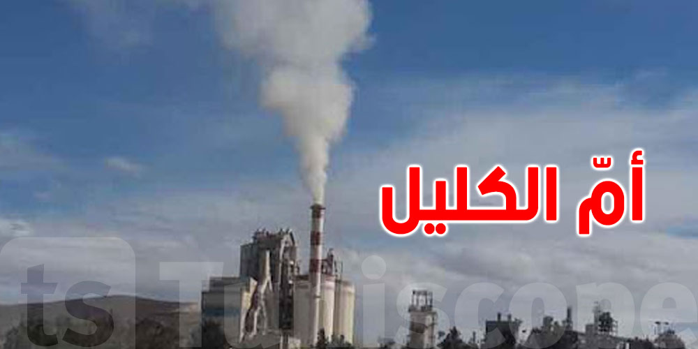 عاجل: شركة أسمنت في الكاف تعود بقوة وتصدّر للخارج!
